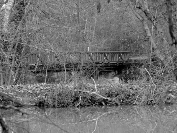 Sur le Loiret.jpg